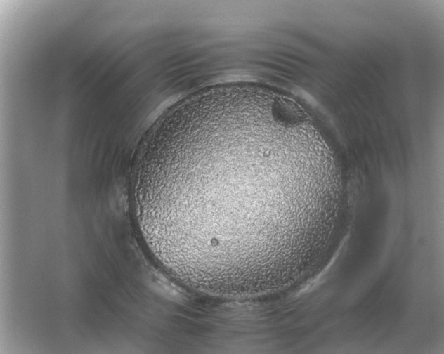 X0000067480929200604150012