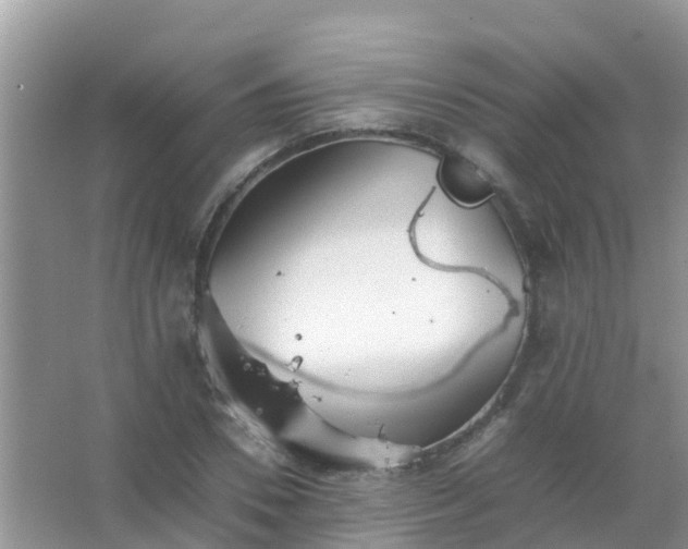 X0000067480930200604150012