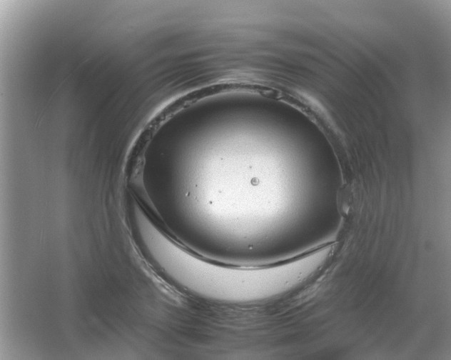 X0000067480931200604150012