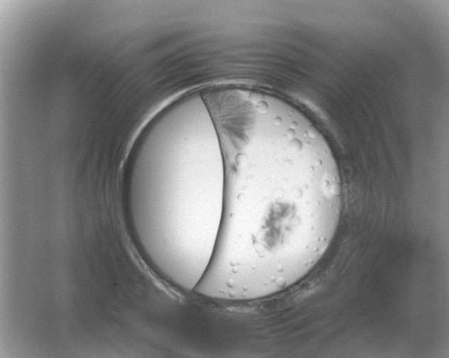 X0000067480933200604150012