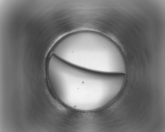 X0000067480934200604150012