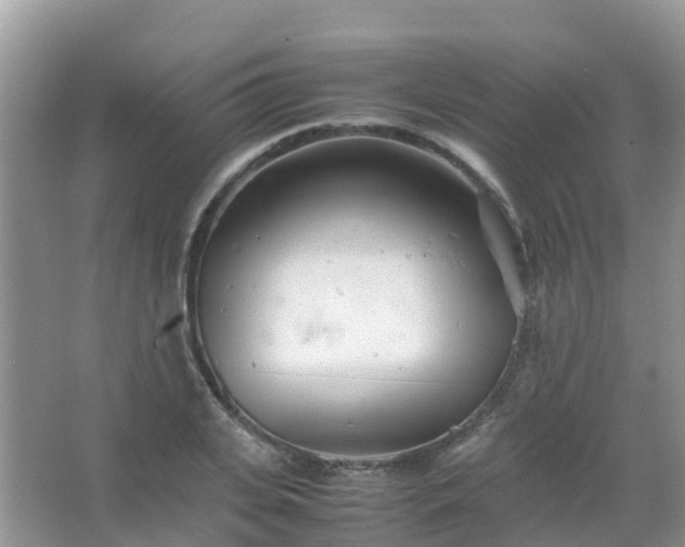 X0000067480935200604150012