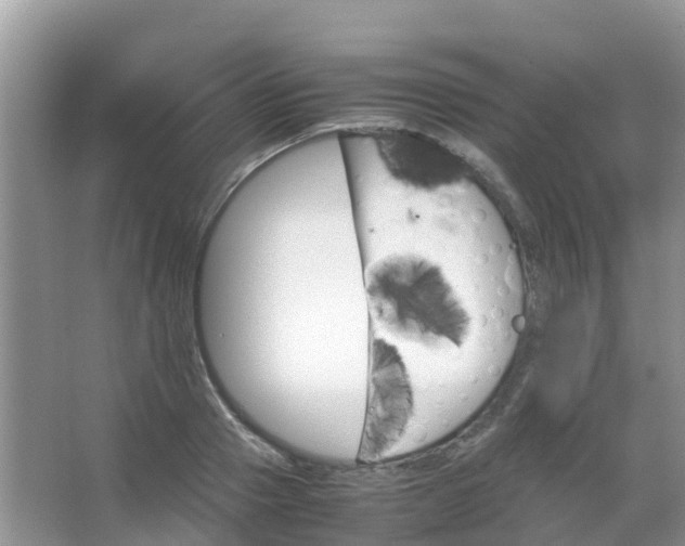 X0000067480937200604150012