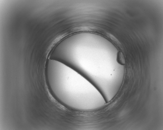 X0000067480938200604150012