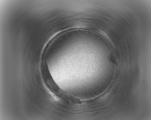 X0000067480939200604150012