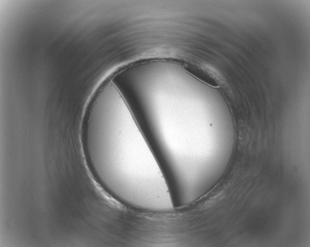 X0000067480942200604150012