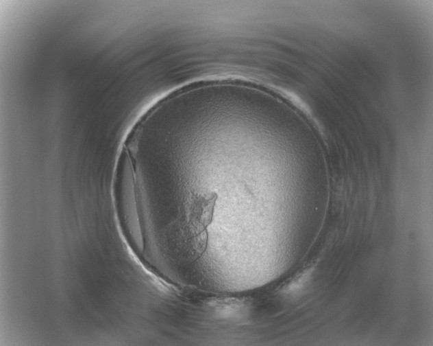 X0000067480943200604150012