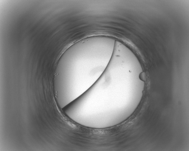 X0000067480945200604150012