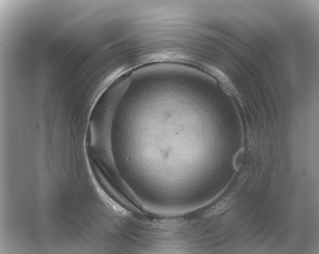 X0000067480946200604150012