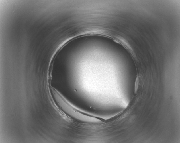 X0000067480948200604150012