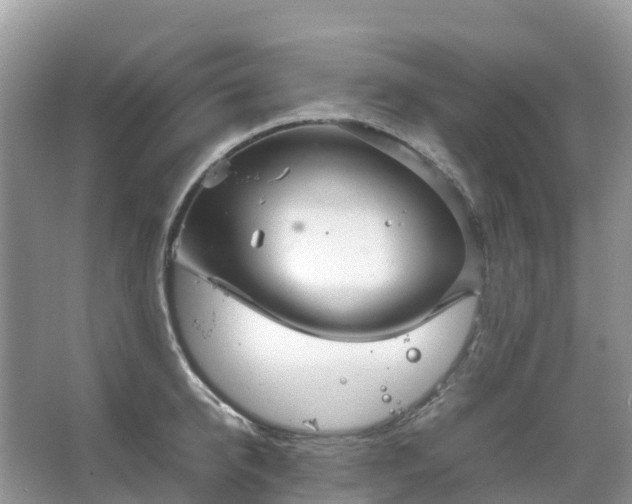 X0000067480950200604150012