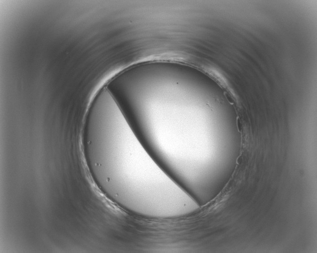 X0000067480952200604150013