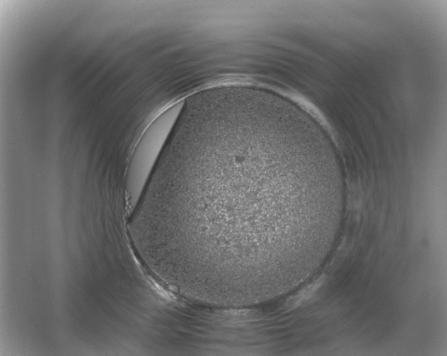 X0000067480953200604150013