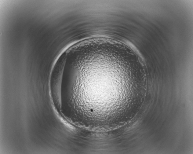 X0000067480955200604150013