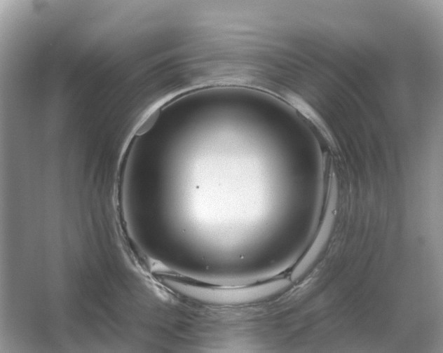 X0000067480956200604150013