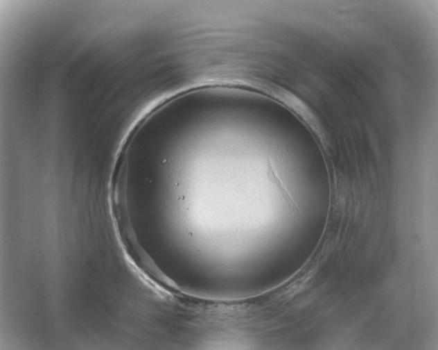 X0000067480958200604150013