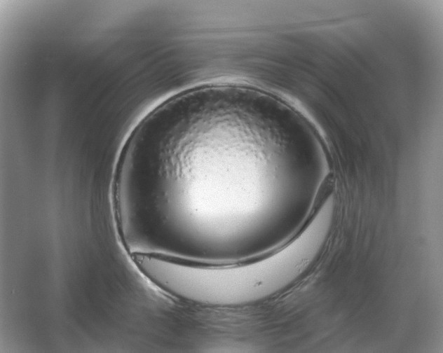 X0000067480959200604150013