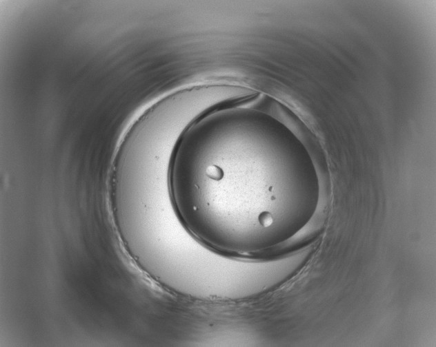 X0000067480960200604150013