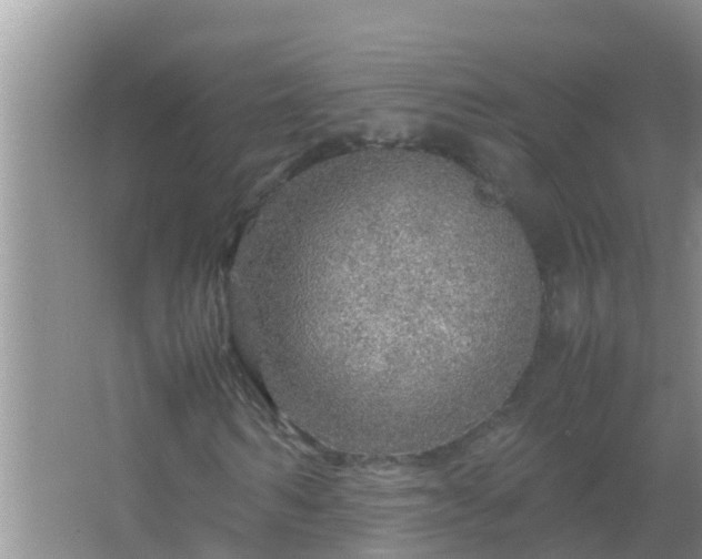 X0000067480962200604150012