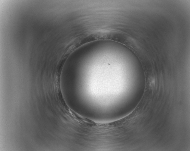 X0000067480964200604150012