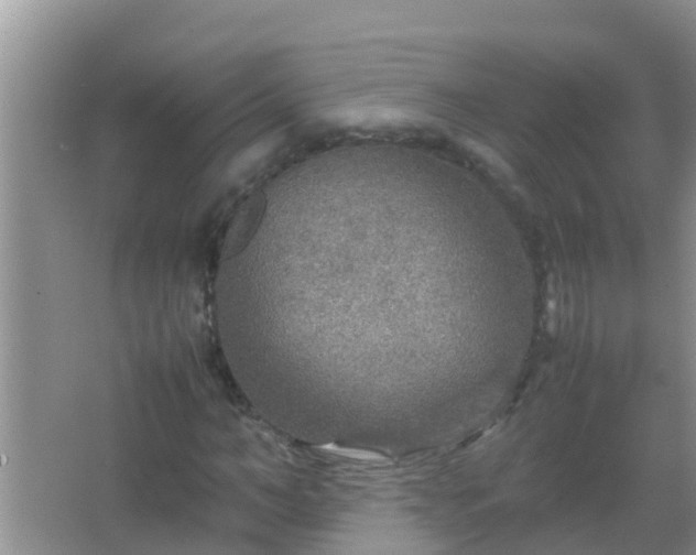 X0000067480966200604150012