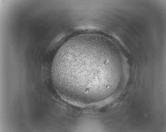 X0000067480967200604150012