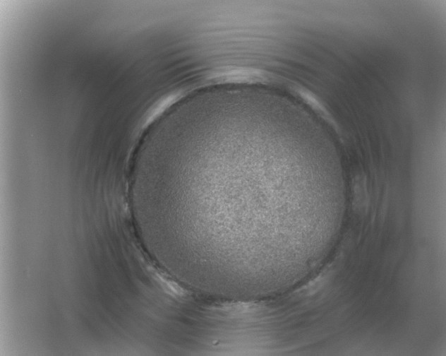 X0000067480970200604150012