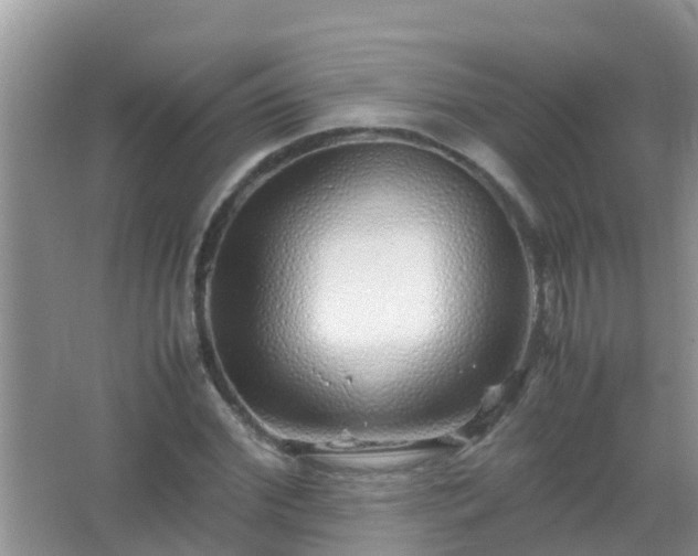 X0000067480972200604150012