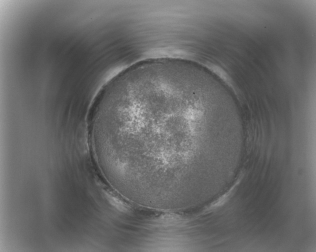 X0000067480974200604150012