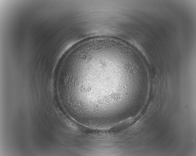 X0000067480975200604150012