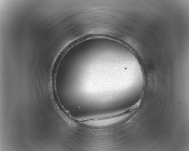 X0000067480976200604150012