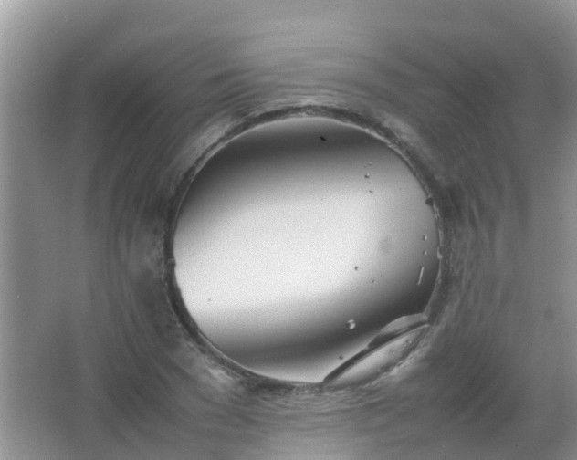 X0000067480977200604150012