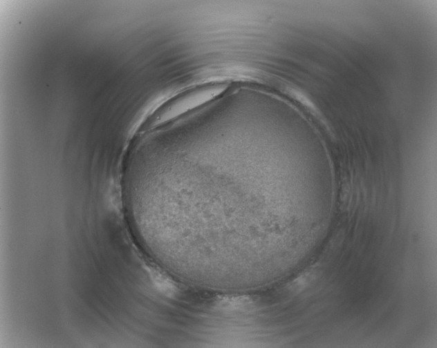 X0000067480978200604150012