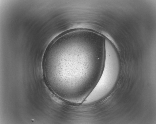 X0000067480980200604150012