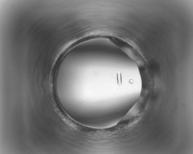 X0000067480981200604150012