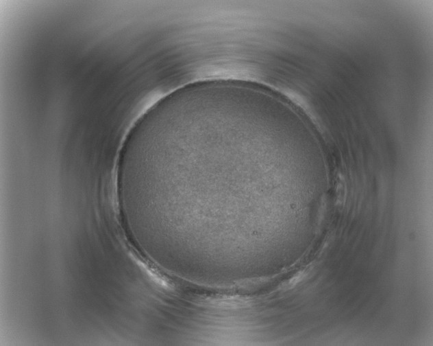 X0000067480982200604150011