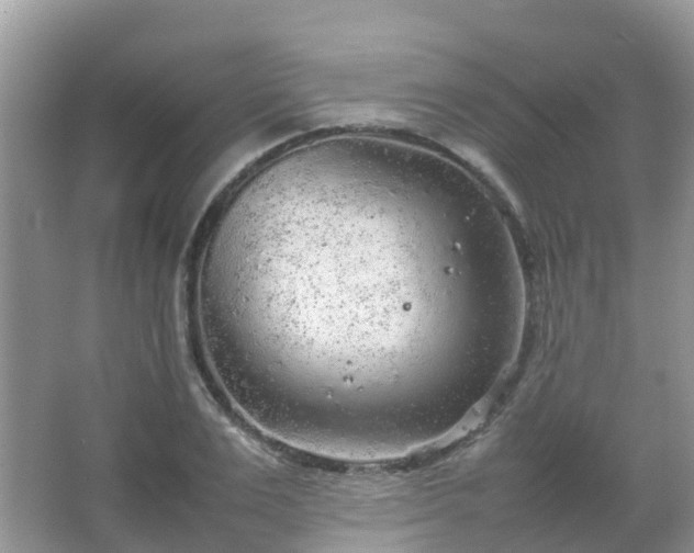 X0000067480983200604150011