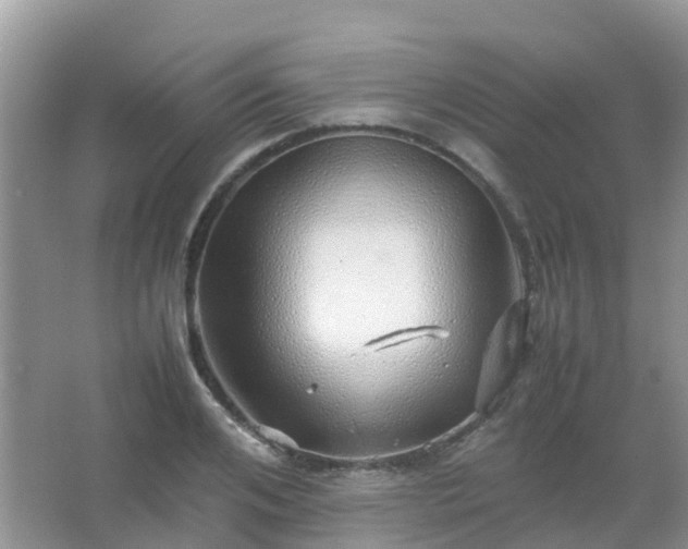 X0000067480984200604150011