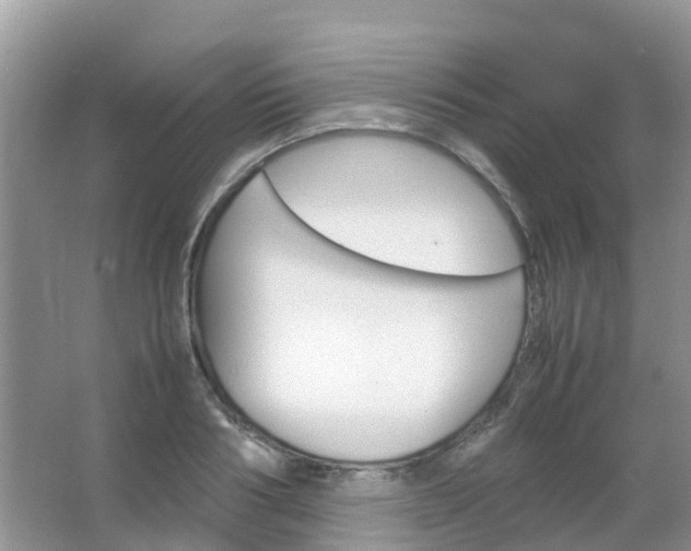 X0000067480986200604150011