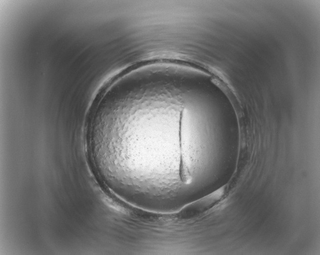 X0000067480987200604150011