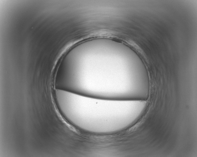 X0000067480989200604150011