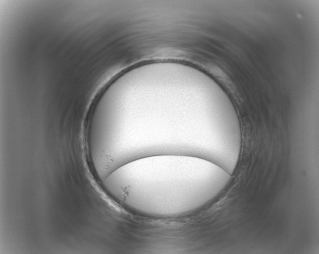 X0000067480990200604150011