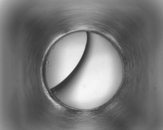 X0000067480991200604150011