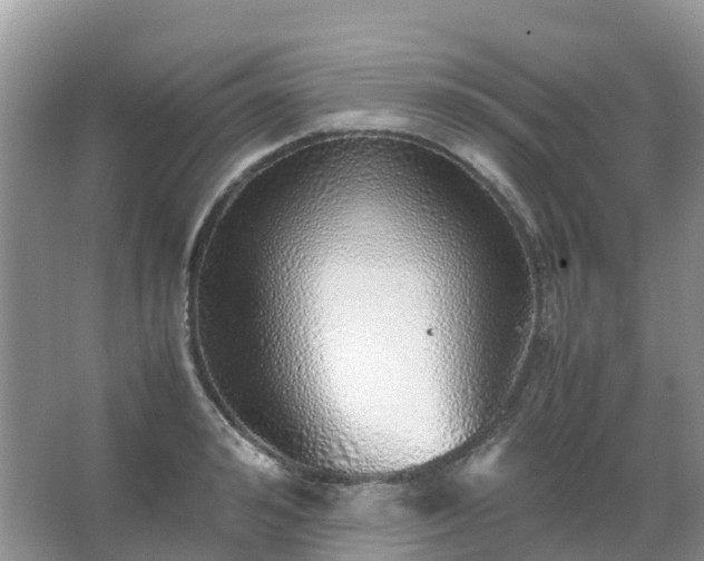 X0000067480992200604150011