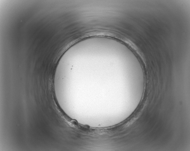 X0000067480993200604150011