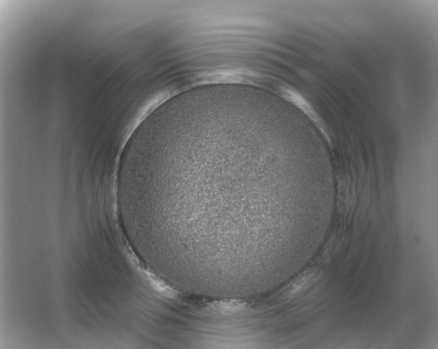 X0000067480994200604150011