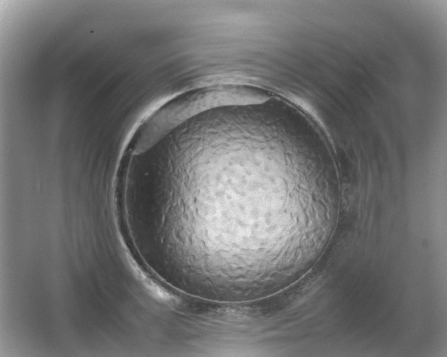 X0000067480995200604150011