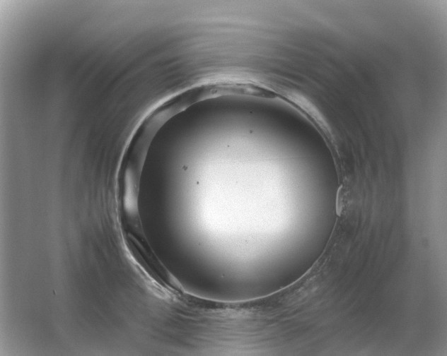 X0000067480996200604150011