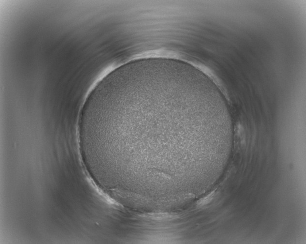 X0000067480998200604150011