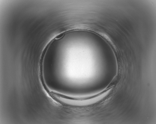 X0000067480999200604150011